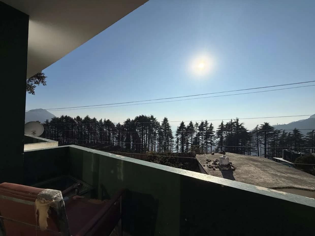 Wide balcony view across cedar forest to hazy valley and ridges